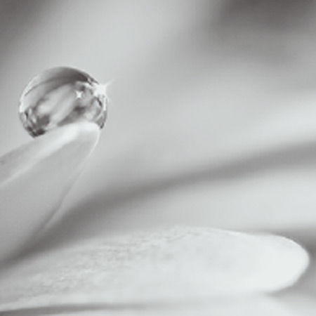 Ayurveda