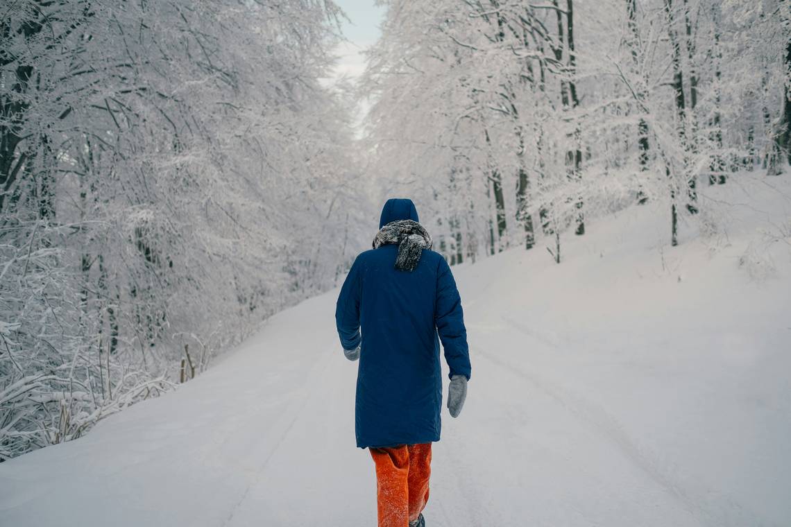 Bild von einem Mann, der durch den Wald läuft. Foto: Unsplash